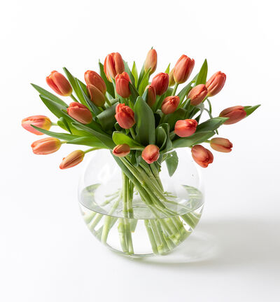 Oransje tulipanbukett stor
